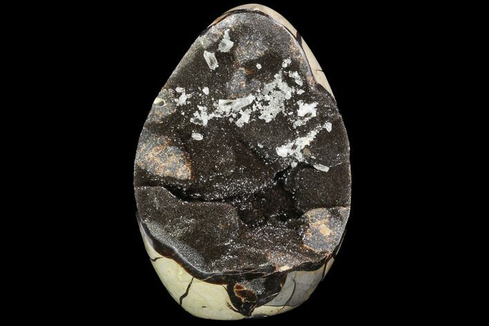 Polished Septarian Geode Sculpture - Black Crystals #99451